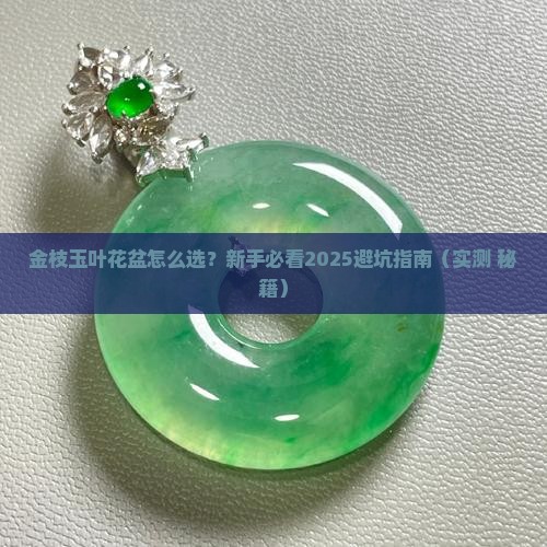 金枝玉叶花盆