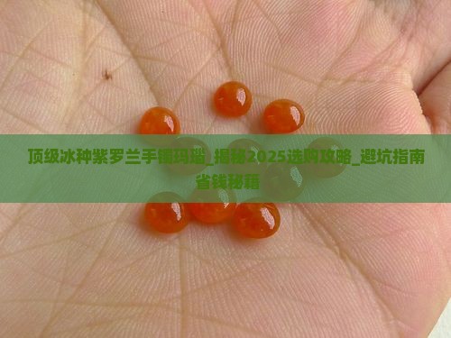 顶级冰种紫罗兰手镯玛瑙