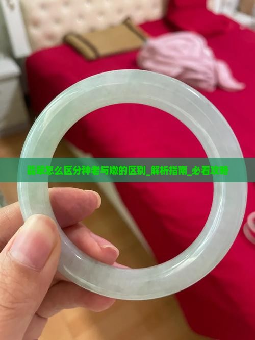 翡翠怎么区分种老与嫩的区别