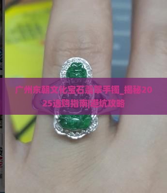 广州东朝文化宝石翡翠手镯