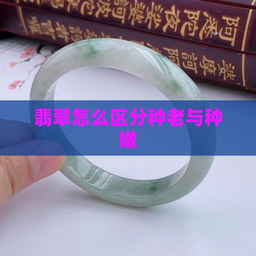 翡翠怎么区分种老与种嫩