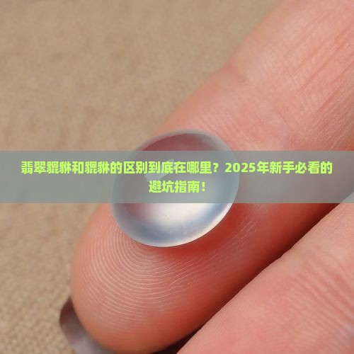 翡翠貔貅和貔貅的区别