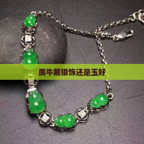 属牛戴银饰还是玉好