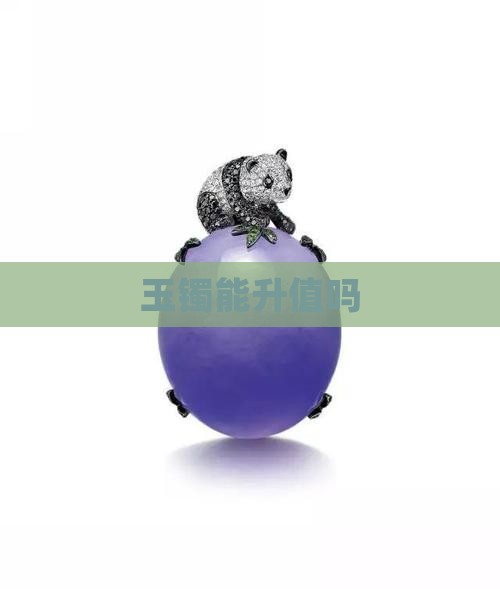 玉镯能升值吗