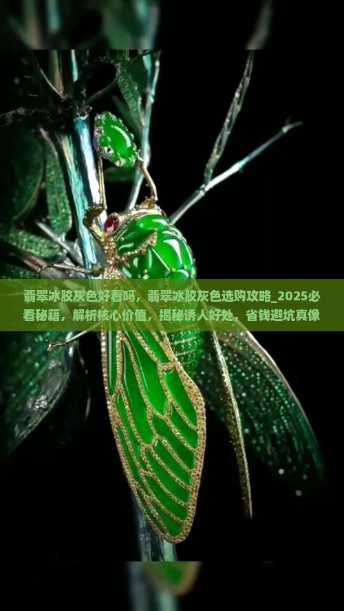翡翠冰胶灰色好看吗