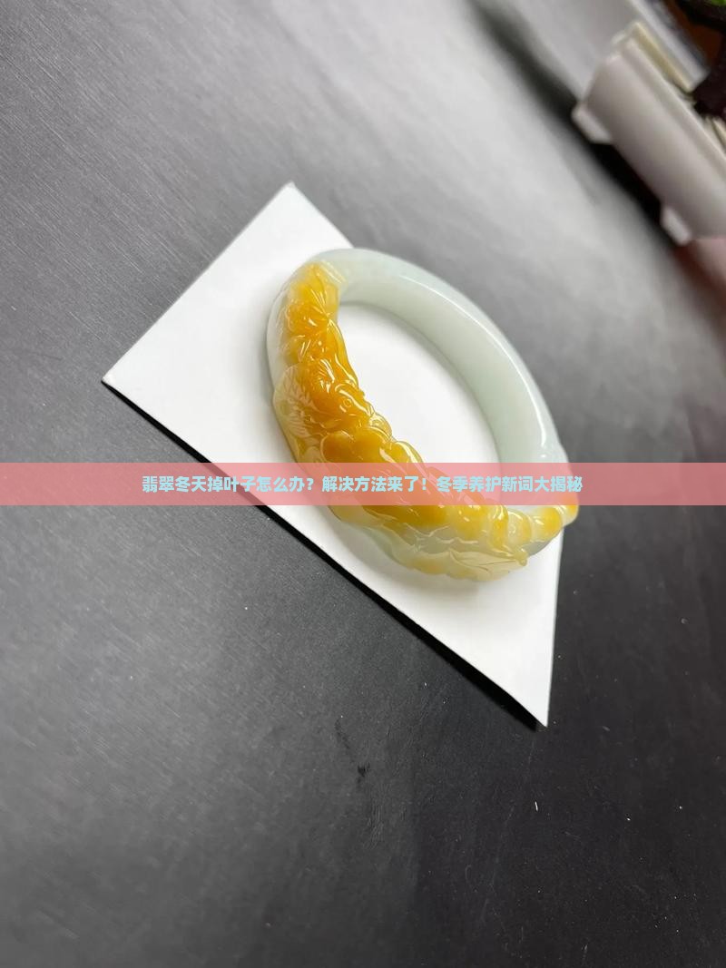 翡翠冬天掉叶子怎么处理