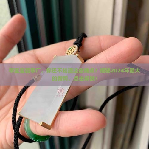 琴宝宝翡翠厂