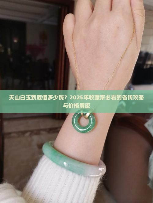天山白玉价格多少