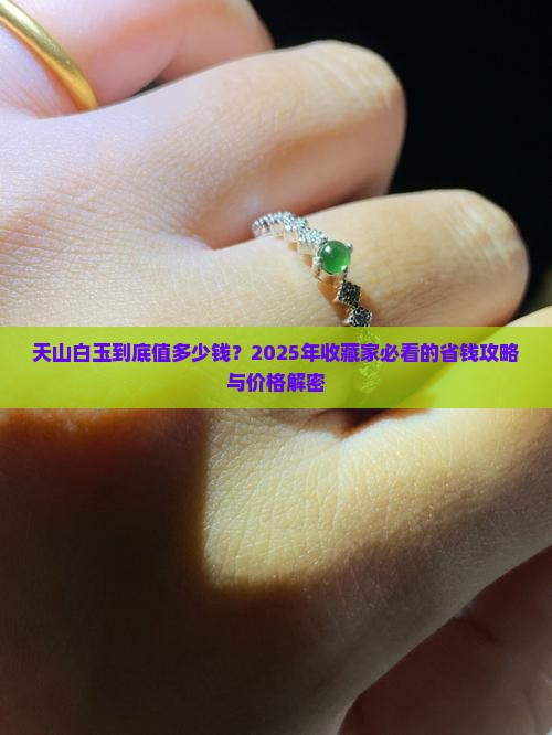 天山白玉价格多少