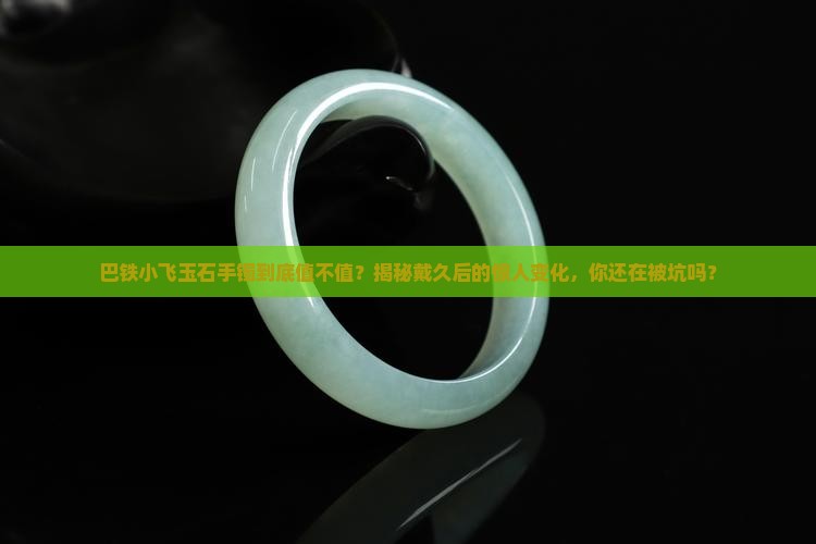 巴铁小飞玉石手镯