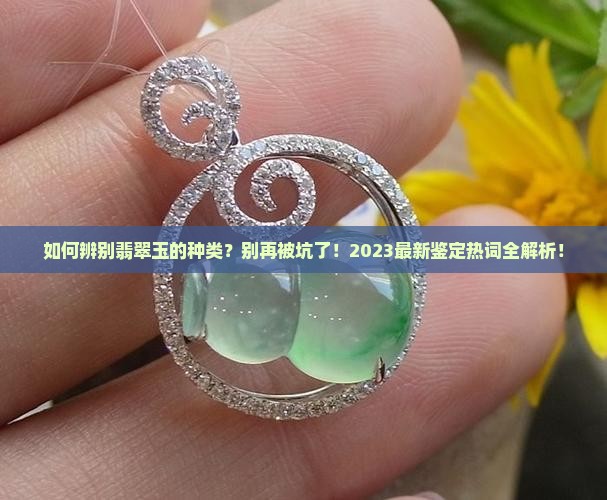 辨别翡翠玉的种类