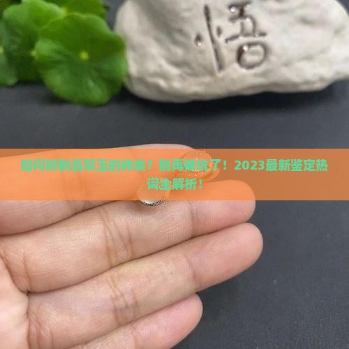 辨别翡翠玉的种类