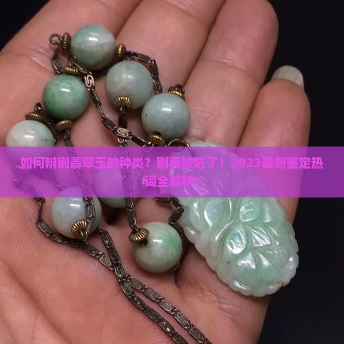 辨别翡翠玉的种类