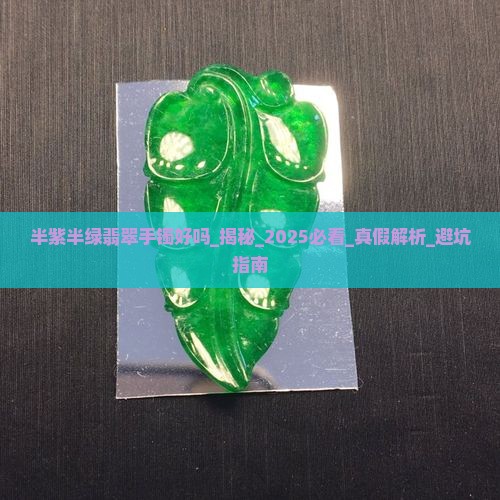 半紫半绿翡翠手镯好吗