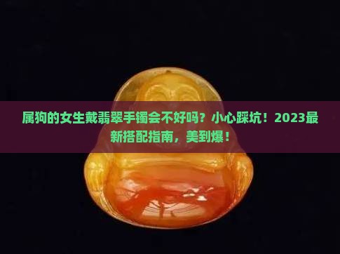 属狗的人可以戴翡翠手镯吗女生