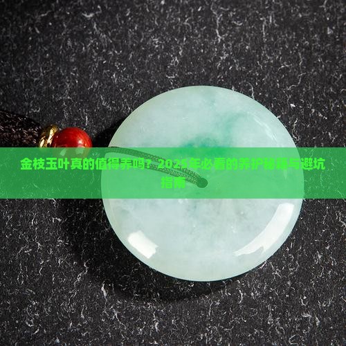 金枝玉叶有什么好处吗