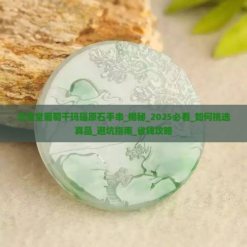 洁玉堂葡萄干玛瑙原石手串