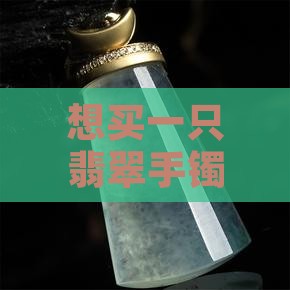 想买一只翡翠手镯