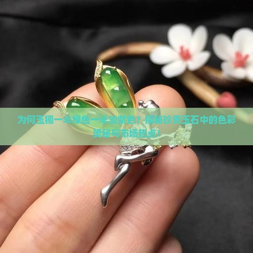 为何玉镯一半绿色一半淡紫色？揭秘珍贵玉石中的色彩奥秘与市场热点！