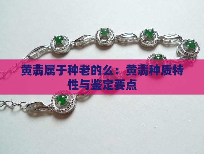 黄翡属于种老的么：黄翡种质特性与鉴定要点