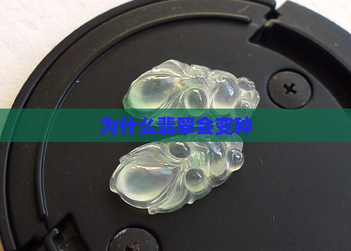 为什么翡翠会变种
