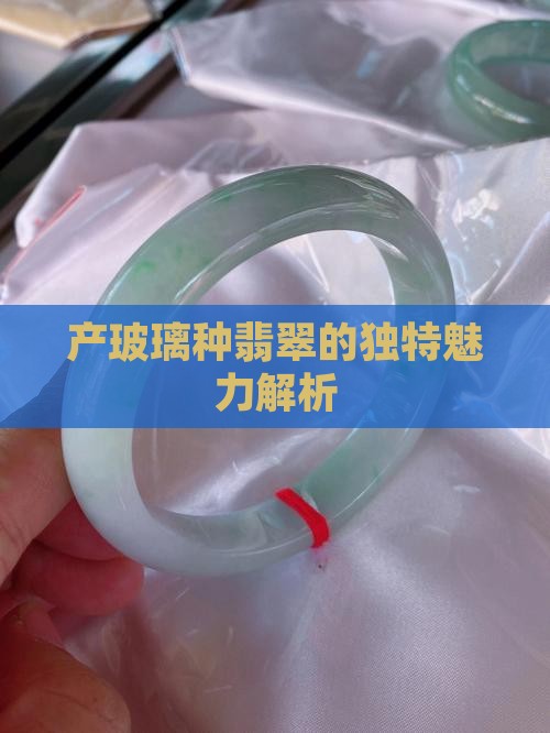 产玻璃种翡翠的独特魅力解析