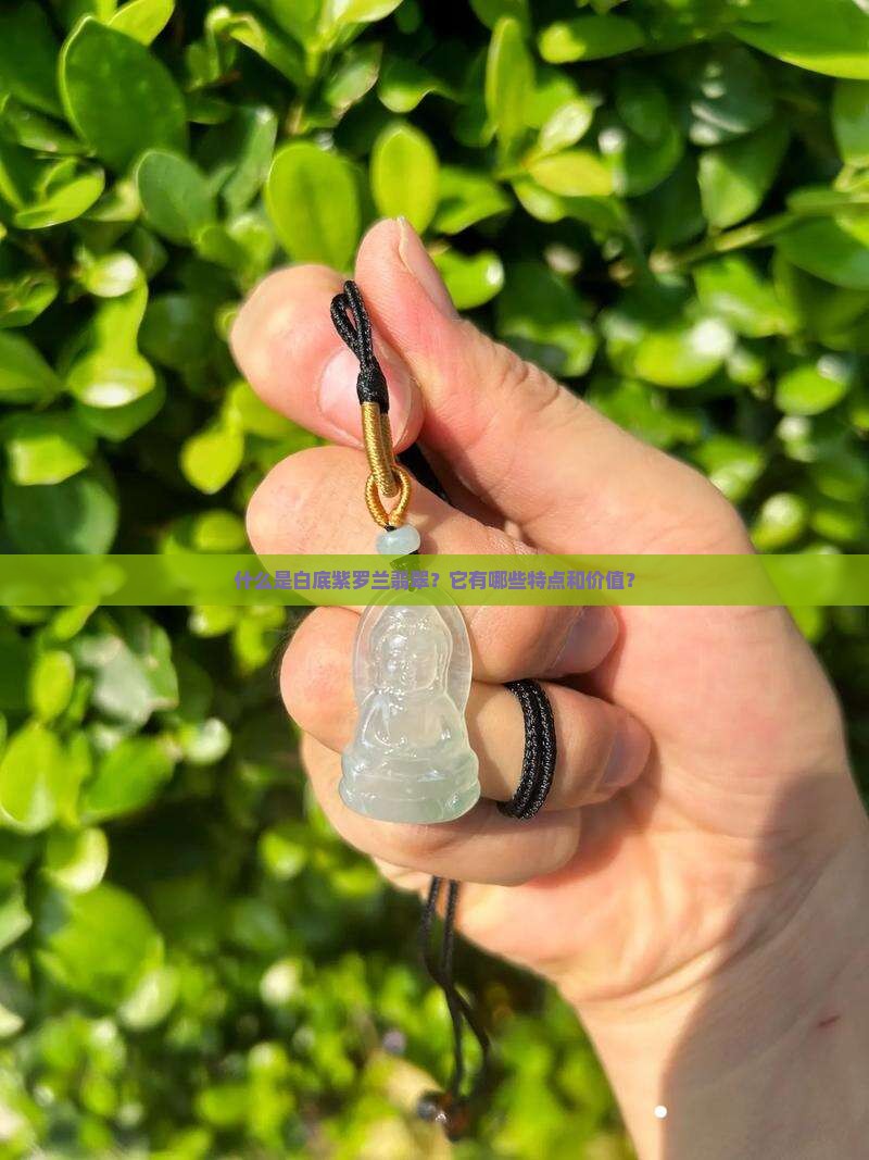 什么是白底紫罗兰翡翠？它有哪些特点和价值？