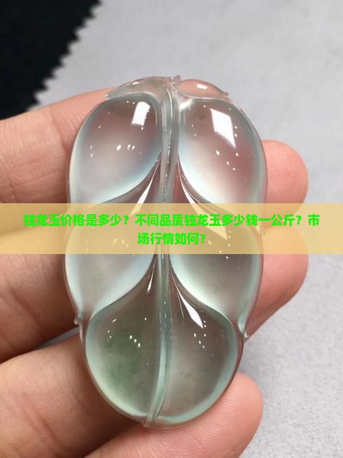 独龙玉价格是多少？不同品质独龙玉多少钱一公斤？市场行情如何？