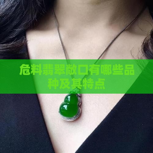 危料翡翠敞口有哪些品种及其特点
