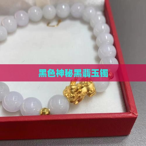 黑色神秘黑翡玉镯