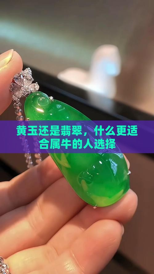 黄玉还是翡翠，什么更适合属牛的人选择