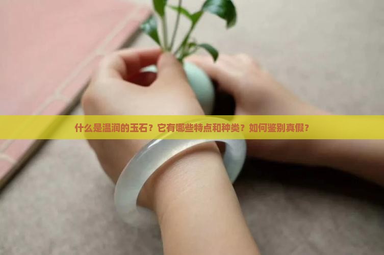 什么是温润的玉石？它有哪些特点和种类？如何鉴别真假？