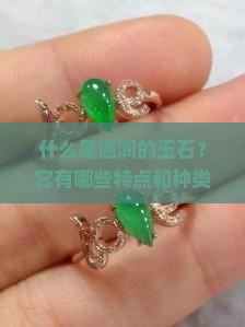什么是温润的玉石？它有哪些特点和种类？如何鉴别真假？
