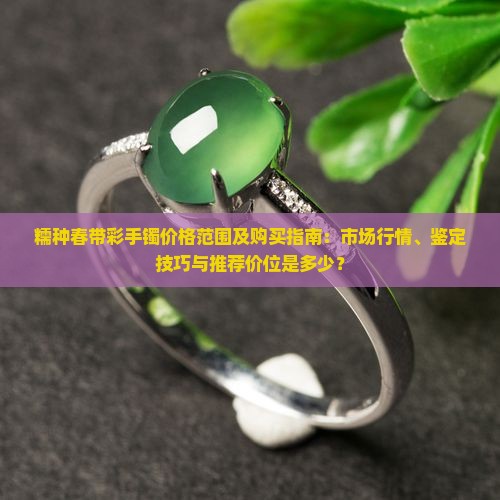 糯种春带彩手镯价格范围及购买指南：市场行情、鉴定技巧与推荐价位是多少？