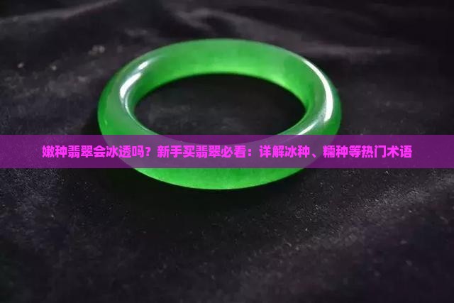 嫩种翡翠会冰透吗？新手买翡翠必看：详解冰种、糯种等热门术语