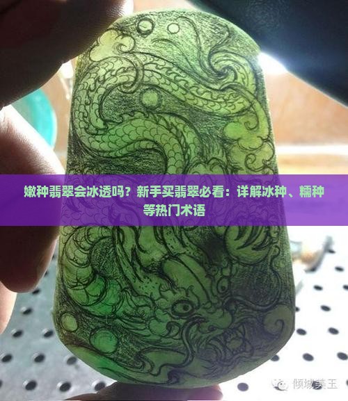 嫩种翡翠会冰透吗？新手买翡翠必看：详解冰种、糯种等热门术语