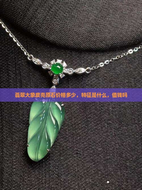翡翠大象皮壳原石价格多少，特征是什么，值钱吗