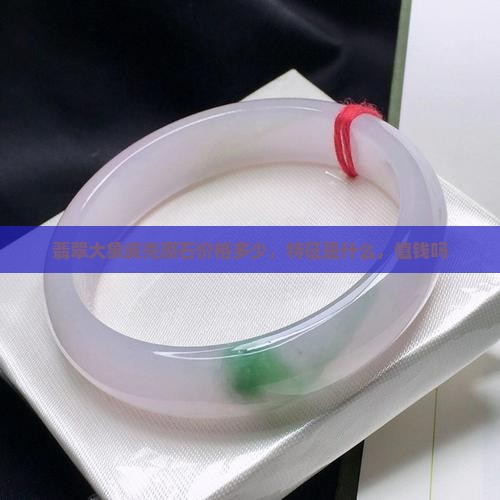 翡翠大象皮壳原石价格多少，特征是什么，值钱吗