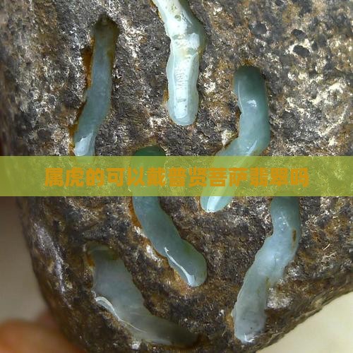 属虎的可以戴普贤菩萨翡翠吗