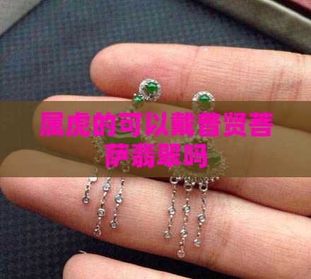 属虎的可以戴普贤菩萨翡翠吗