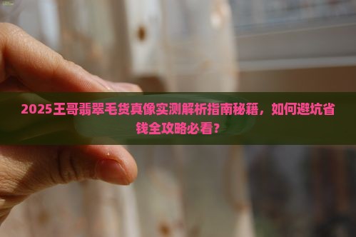 王哥翡翠毛货