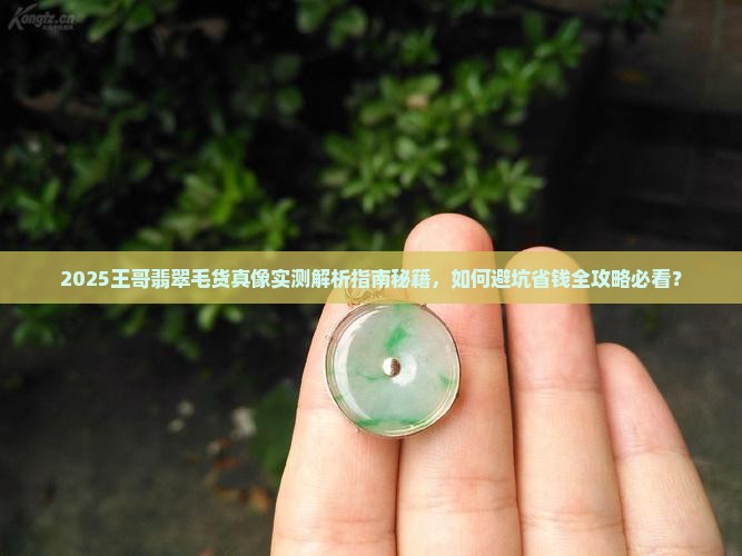 王哥翡翠毛货