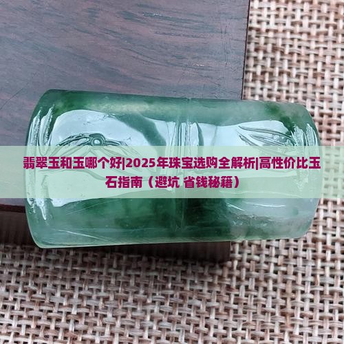 翡翠玉和玉哪个好