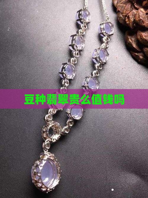 豆种翡翠贵么值钱吗