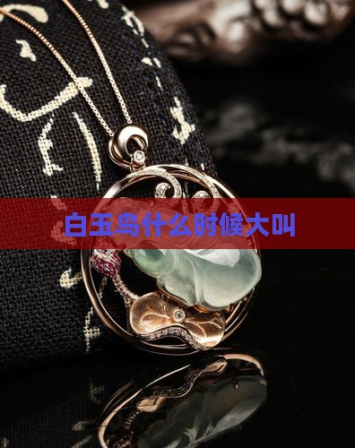 白玉鸟什么时候大叫
