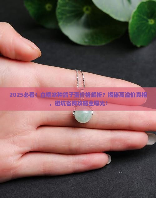 白糯冰种鸽子蛋价格