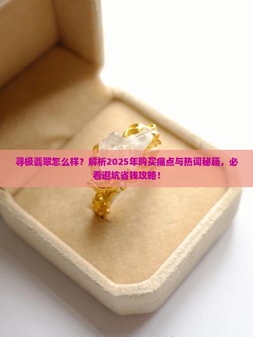 寻极翡翠怎么样