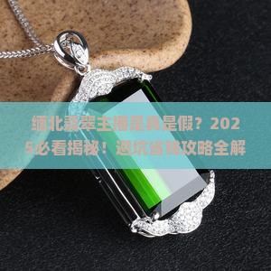 缅北翡翠主播
