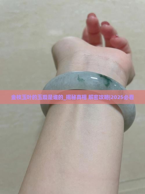 金枝玉叶的玉璇是谁的