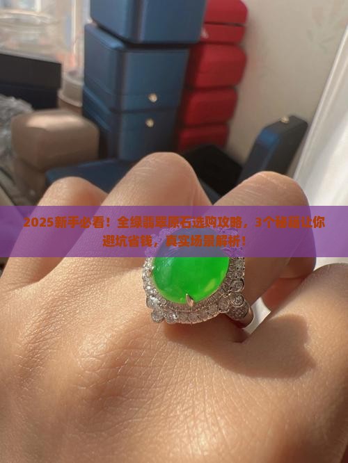 全绿翡翠原石